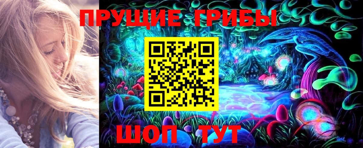 Каспийск  Псилоцибиновые грибы мухоморы  Вход с VPN  Псилоцибиновые грибы Psilocybe 