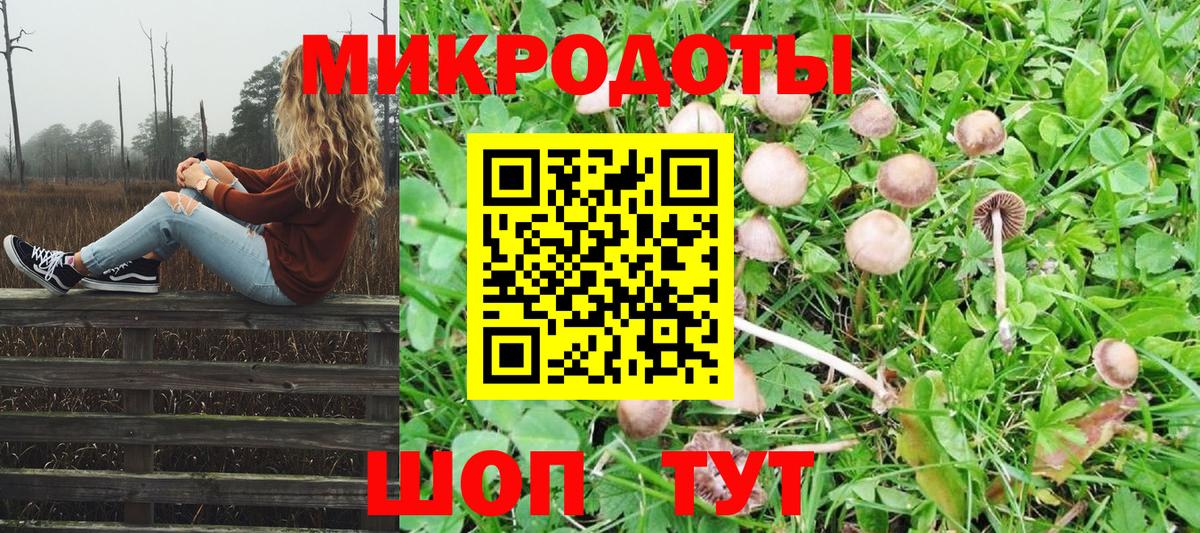 Галлюциногенные грибы мицелий Каспийск
